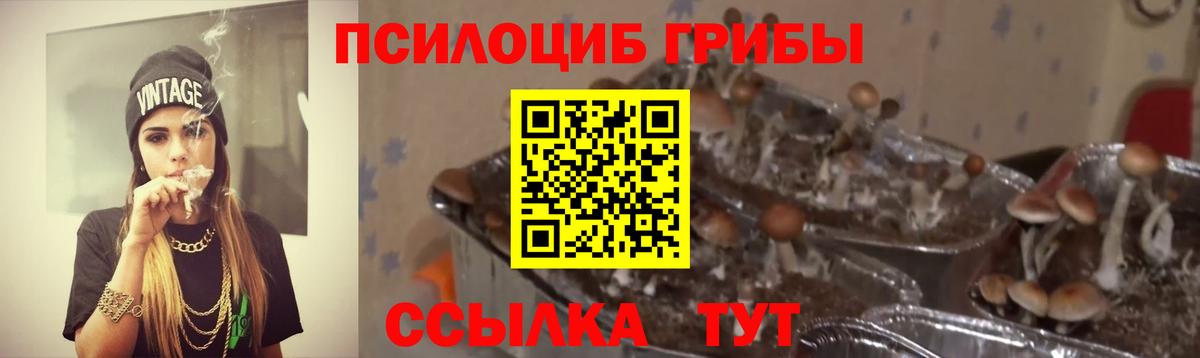 Сочи  Псилоцибиновые грибы Psilocybine cubensis  Вход с VPN 